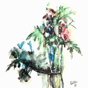 כלניות ורודות