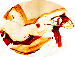 עירום - נשים שרועות - צבעי מים